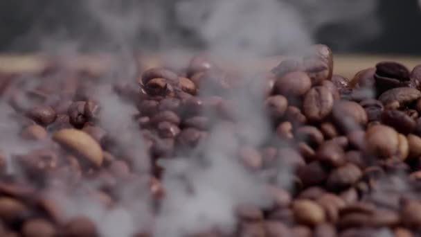 Kokulu Kahve Çekirdekleri Ağır Çekimde Kavruluyor Kızartma Makinesinde Kahverengi Aromatik — Stok video