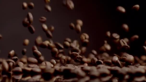 Organic Coffee Beans Falling Dark Backdrop Close Beautiful Roasted Coffee — 비디오