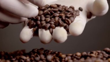 Aromatic coffee seeds lying in hand closeup. Fingers in gloves picking brown roasted beans in super slow motion. Unknown person holding grinding coffee grains for energetic morning beverage.