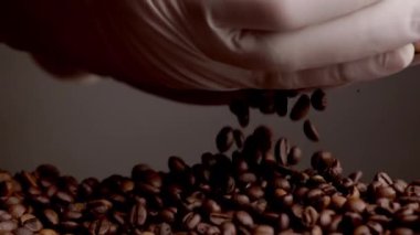Roasted coffee seeds pouring hands in gloves closeup super slow motion. Unknown person taking fresh brown grains in palms. Checking coffee beans quality. Perfect aromatic ingredient for morning drink.