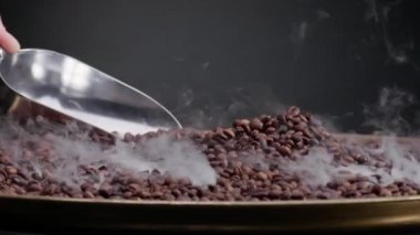 Metal kepçesi kavrulmuş kahve çekirdeklerini karıştırıyor. Kimliği belirsiz bir adam elinde kürekle süper yavaş çekimde kahverengi taze tohum topluyor. Aromatik fasulyelerin üzerindeki hafif buhar koyu arkaplanda izole edilmiş.