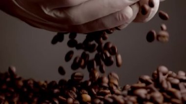 Hands holding fresh coffee grains closeup. Brown aromatic seeds falling down on heap. Unknown person in gloves taking caffeine harvest in palms super slow motion. Checking quality coffee beans indoors