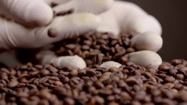 Avuç içlerindeki kavrulmuş kahve tanelerinin beyaz eldivenlerle yakından görünüşü. Arkaplanda aromatik tohumlar tutan tanınmamış bir insan elleri. Tarımcı, kaliteli fasulyeleri öğütüyor mu diye kontrol ediyor..