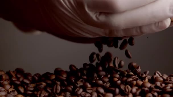 Roasted Coffee Seeds Pouring Hands Gloves Closeup Super Slow Motion — Vídeos de Stock