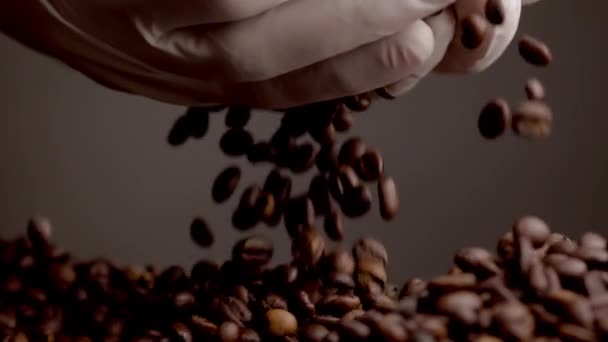 Hands Holding Fresh Coffee Grains Closeup Brown Aromatic Seeds Falling — Vídeos de Stock
