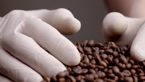 Closeup Hands Taking Roasted Coffee Grains Unknown Man Wearing Gloves — 비디오