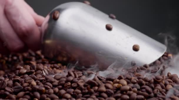 Nahaufnahme Mann Hand Schaufel Geröstete Kaffeekörner Mit Metallschaufel Leichter Dampf — Stockvideo