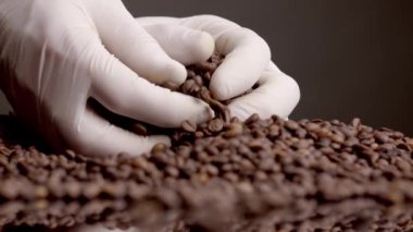 Hands taking roasted coffee beans in white gloves close up. Unknown person fingers touching fresh brown seeds checking quality. Aromatic grains lying on palm. Ingredient for energetic drink.