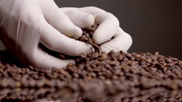 Hands Taking Roasted Coffee Beans White Gloves Close Unknown Person — Stockvideo