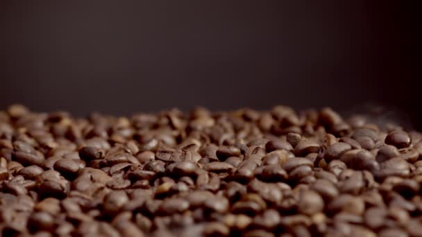 Yakın Plan Kavrulmuş Kahve Çekirdekleri Kızartma Makinesine Dökülen Mis Kokulu — Stok video