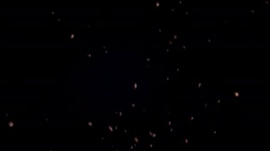 Delicious coffee beans flying up in super slow motion. Fragrant fresh arabica seeds rising on black background. Magic exploding aromatic coffee grains. Beautiful design for cafe restaurant concept.