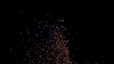 Splash of delicious coffee grains on black background. Aromatic fresh beans exploding in super slow motion. Heap of roasted coffee seeds falling down. Ingredient for tasty caffeine morning drink.