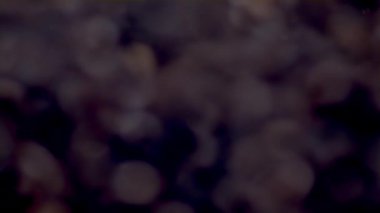 Roasted coffee beans falling in super slow motion. Fragrant fresh seeds arabica flying on dark background. Beautiful view aromatic coffee grains in falldown closeup. Morning energy tasty drink concept