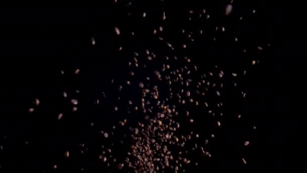 Свіжі Кавові Зерна Ростуть Надзвичайно Повільному Русі Ароматні Смачні Насіння — стокове відео