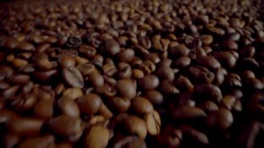 Closeup full hands roasted coffee beans. Camera going through large pile aromatic harvest to unknown man palms with fragrant coffee seeds. Agriculturist checking fresh arabica harvest for tasty drink.