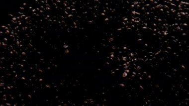 Fragrant coffee grains flying on black background. Super slow motion of exploding brown aromatic seeds. Large heap roasted natural arabica beans falling down close up. Cafe restaurant design concept.