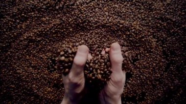 Closeup full hands of fragrant coffee beans pouring on large heap fresh harvest. Unknown man taking filled palms aromatic seeds. Roasted brown grains falling down on pile arabica super slow motion. 