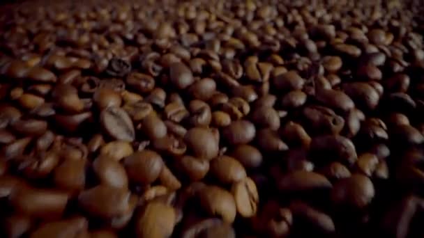 Closeup Full Hands Roasted Coffee Beans Camera Going Large Pile — Stockvideo