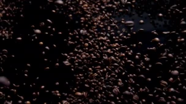 Tasty Coffee Seeds Fall Camera Close Super Slow Motion Fragrant — Vídeo de Stock