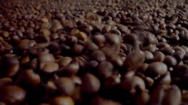 Closeup roasted coffee beans falling down on large heap with camera going forward. Fragrant grains pouring on pile fresh crop. Aromatic brown seeds for energetic morning beverage. Arabica concept.