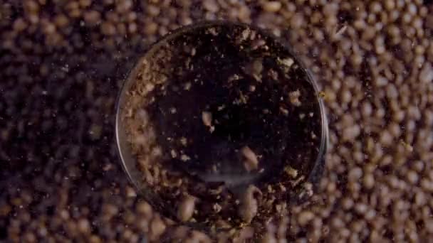 電気工場で焙煎したコーヒー豆を回転させることができます 現代の粉砕機は 精力的な朝の飲み物を醸造する香りの粉を作る キッチンツールからこぼれる新鮮な地面の種をトップビュー — ストック動画