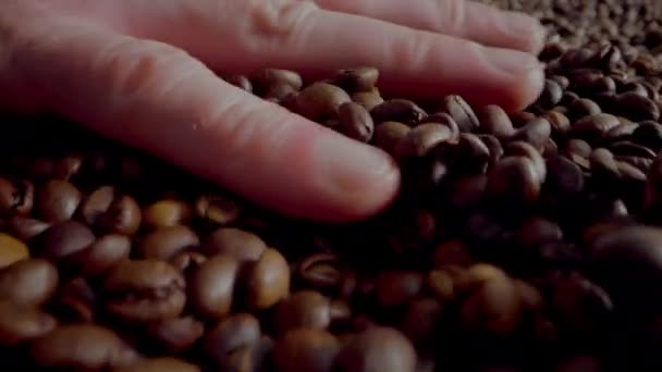Man Hand Running Fresh Roasted Coffee Grains Close Macro View — Stockvideo