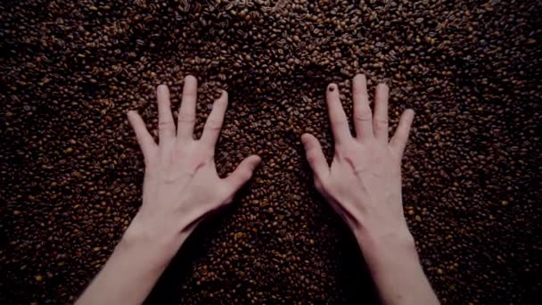 Man Hands Touching Fragrant Coffee Seeds Large Heap Close Unknown — Wideo stockowe