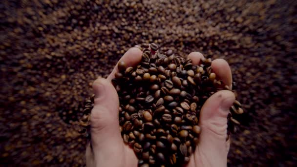 Agriculturist Hands Holding Roasted Coffee Grains Close Unknown Man Taking — Stockvideo