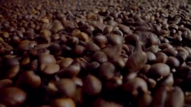 Closeup Roasted Coffee Beans Falling Large Heap Camera Going Forward — Stockvideo