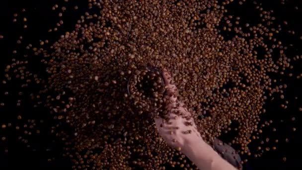Üst Manzara Kahve Çekirdeklerini Elektrikli Öğütücüde Döndürüyor Adam Ele Tutuşup — Stok video