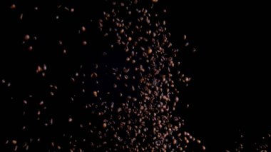 Super slow motion of roasted coffee seeds splashing. Fragrant fresh beans jumped up on black background. Beautiful view fragrant coffee grains falling down. Concept design for cafeteria restaurant.