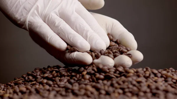 Closeup roasted coffee grains in hand. Unknown agriculturist checking aromatic harvest quality on dark backdrop. Fingers in white gloves touching brown fresh seeds for caffeine morning beverage.