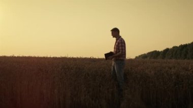 Agronomist observing wheat field on harvesting season. Man holding digital pad using smart farming technology. Thoughtful farmer professional inspecting grain crop. Modern eco agribusiness concept.