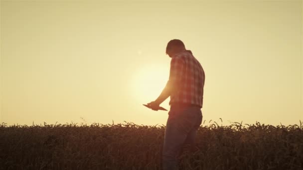 Фермерский Силуэт Использует Планшет Золотом Закате Агроном Проверяет Качество Пшеницы — стоковое видео