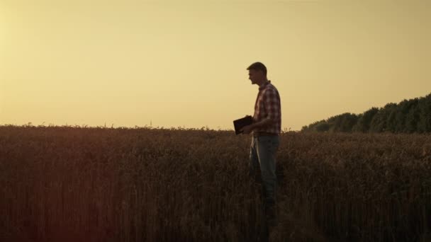 Agronomist Observing Wheat Field Harvesting Season Man Holding Digital Pad — Vídeo de Stock