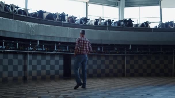Farmer Examining Work Milking System Watching Rotary Automatic Carousel Technological — Vídeo de Stock