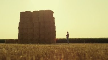 Man resting stack field after harvesting. Farmer silhouette looking hay piles. Unrecognized businessman agrarian inspecting dry square hay bales on livestock farm. Autumn farming ranching concept.