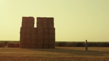 Farmer looking haystack field at golden sunset. Modern agribusiness industry. Unknown worker inspecting grain farmland after harvesting season. Successful agrarian check large stock at countryside