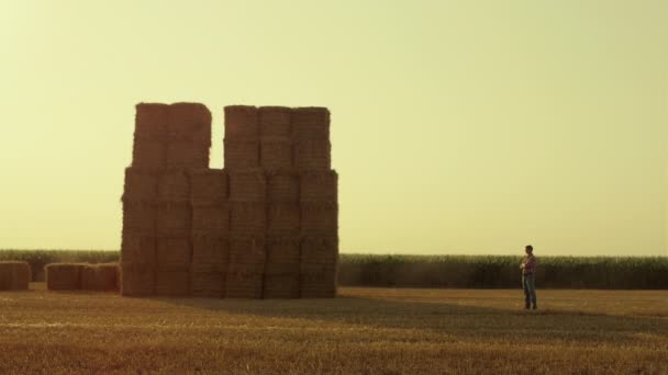 Farmer Looking Haystack Field Golden Sunset Modern Agribusiness Industry Unknown — Wideo stockowe