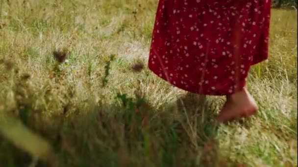 Closeup Woman Feet Stepping Green Grass Sunny Day Unrecognizable Barefoot — Vídeo de stock
