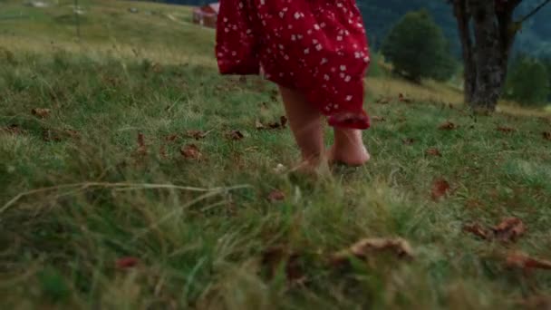 Closeup Bare Woman Feet Walking Green Grass Unknown Barefoot Girl — Stok video