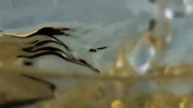 Ice falling falling drink closeup. Cool refreshing beverage splashing waving in glass. Tempting white wine golden grape juice in transparent goblet. Party celebration energy date enjoyment concept.