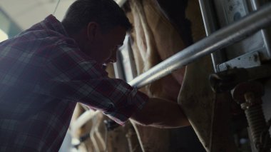 Cowshed worker milking cattle in technological husbandry facility close up. Modern farm owner getting milk from cow udder standing on mechanical rotary carousel. Organic dairy production concept