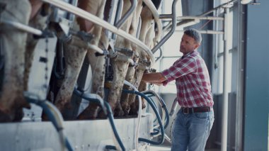 Farm worker checking milking automat on mechanical livestock facility. Focused man ranch employee inspecting work milk production system in automatic barn. Modern technology in agro manufacture.