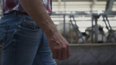 Çiftlik işçisi çiftlik hayvanlarının sağlığını kontrol etmek için ahırda yürüyor. Bilinmeyen tarım uzmanı modern ekolojik çiftlikteki günlük üretimini inceliyor. Üretim süreçleri denetleniyor.