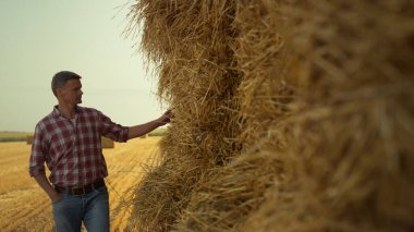 Farmer examining hay pile at countryside. Successful farmland owner touching check straw bales quality on autumn harvesting. Pensive man farming worker walk down haystack. Agribusiness crop concept.