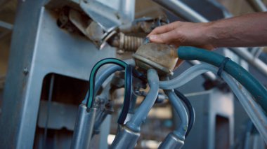 Çiftlik işçisi el ele tutuşması sağma sistemi kontrol süreci robotik otomatikleştirilmiş çiftlik kapanışı. Meçhul çiftçi modern inek ahırında akıllı süt üretimini hazırlıyor. Tarım ekipmanları konsepti 