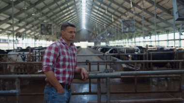 Serious professional farmer standing near cows stall leaning on fence. Cowshed worker controlling dairy farm processes posing on camera near cattle. Agribusiness owner work in modern livestock ranch.