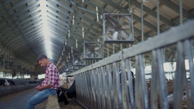 Farm barn owner sitting on farmland facility with cows herd resting after work day. Agronomical specialist relaxing on fence caring husbandry. Farmer work on ecological production. Farming concept.