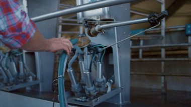 Meçhul tarım uzmanı modern ahırda inek sağma sistemini kontrol ediyor. Agronomik uzman inek ahırındaki hortumlara dokunan süt ürünleri üretim araçlarını inceliyor. Süt üreten teknolojik süreç.
